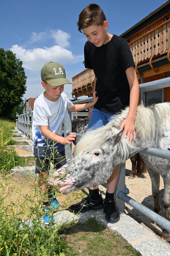 Familien- Und Apartmenthotel Lerchenberghof Walddorf  Zewnętrze zdjęcie