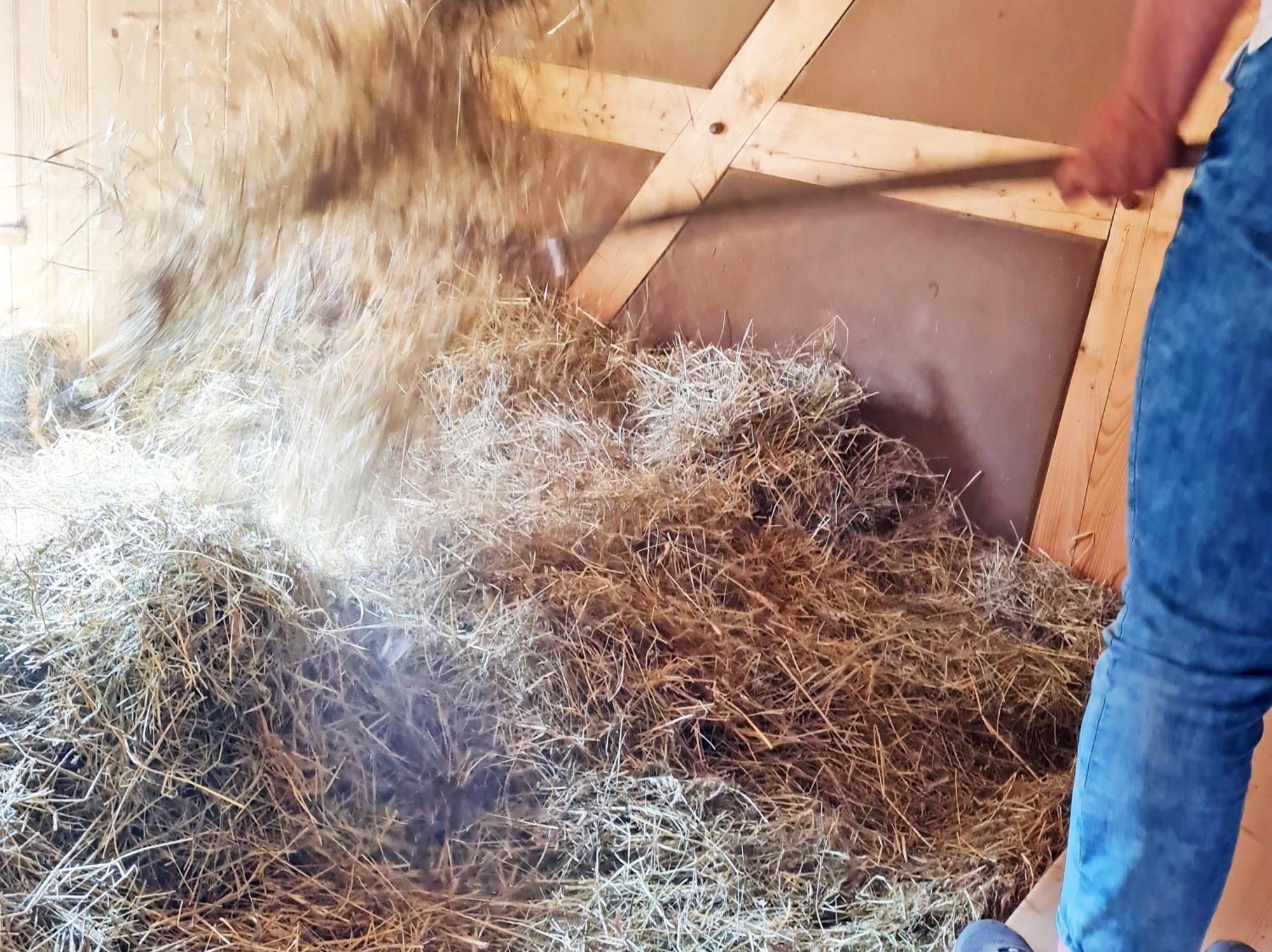 Familien- Und Apartmenthotel Lerchenberghof Walddorf  Pokój zdjęcie